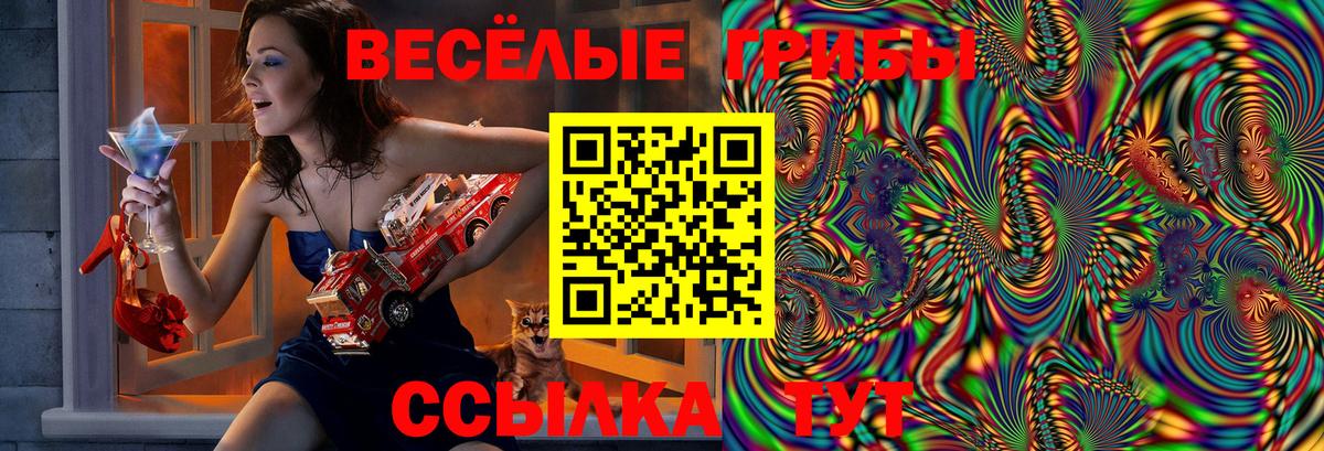 Псилоцибиновые грибы Magic Shrooms Бор