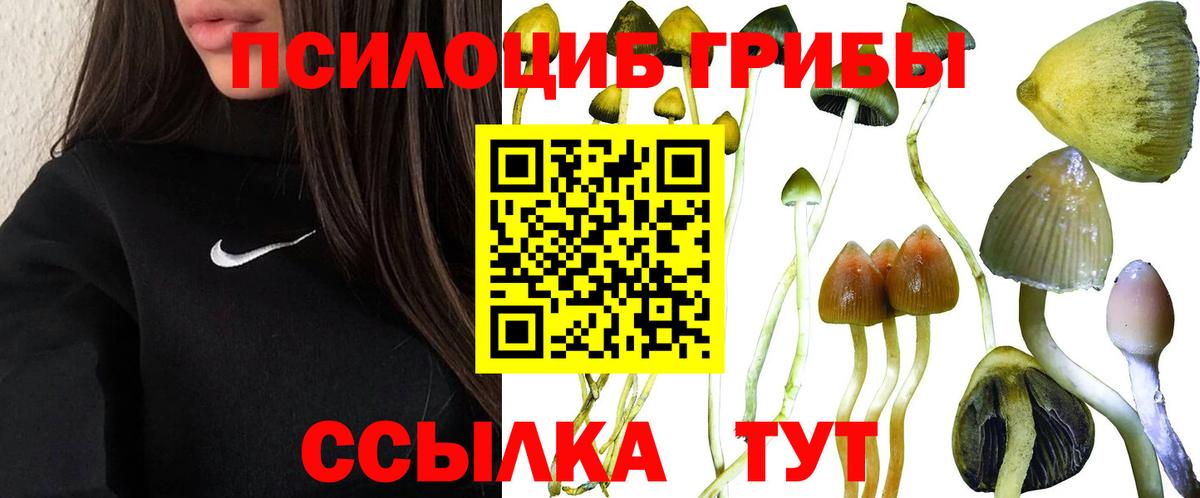 Бор  Галлюциногенные грибы Magic Shrooms  Вход с VPN  Псилоцибиновые грибы Psilocybine cubensis 