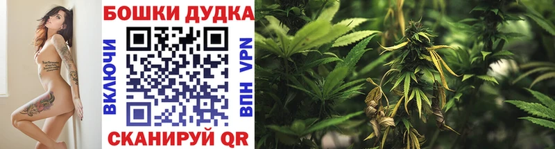 Бошки марихуана White Widow  Бор 